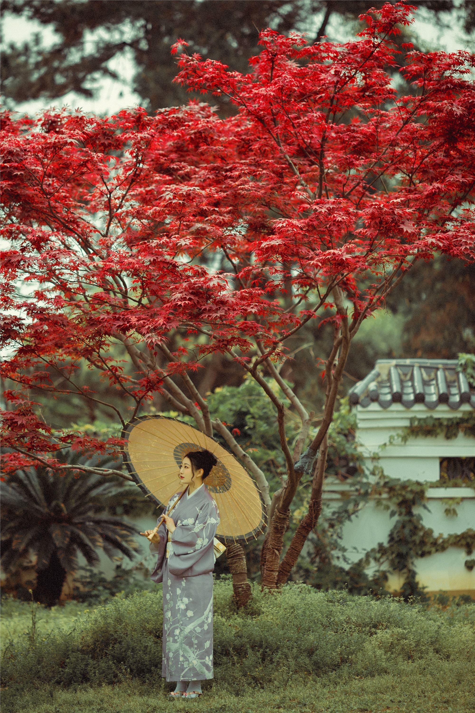 YITUYU艺图语 2021.09.02 红叶深处 没烦恼